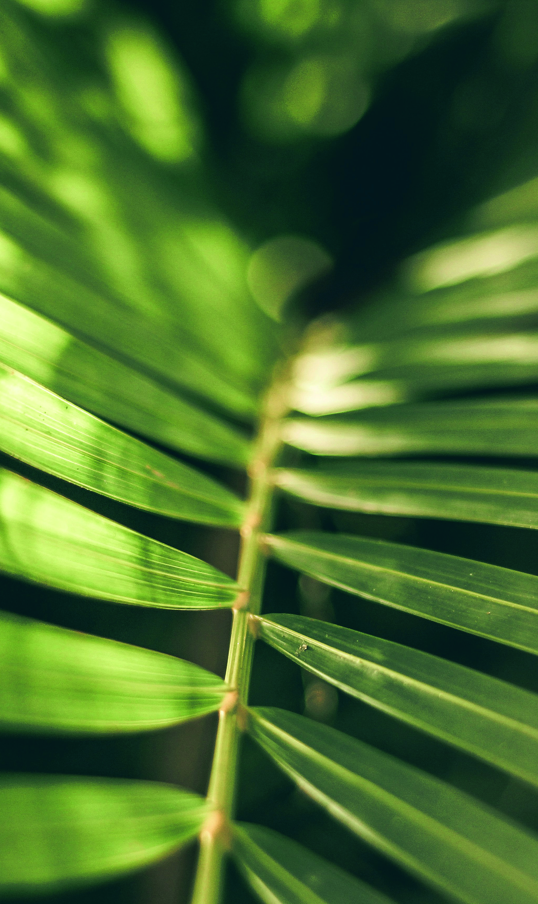 Sustainable Integration